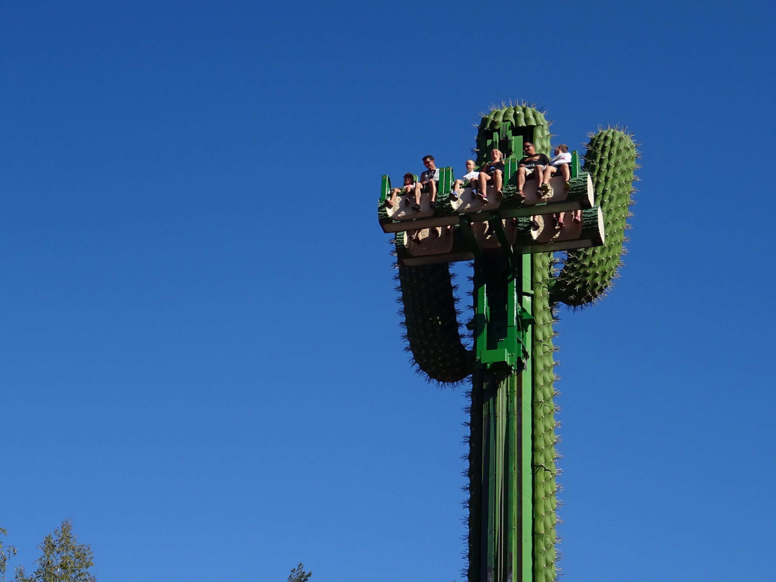 Le Cactus - Fraispertuis City